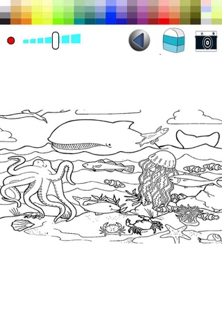 Coloring Book Drawing Ocean - Zoo Animal for kid screenshot 2