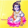 Icon Krishna Photo Frame