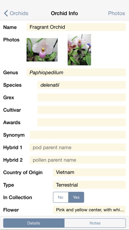Orchid Album Lite