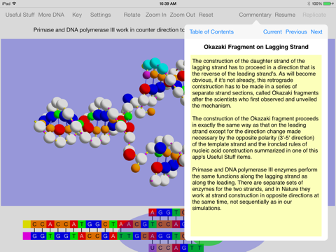 OnScreen DNA Replication screenshot 3