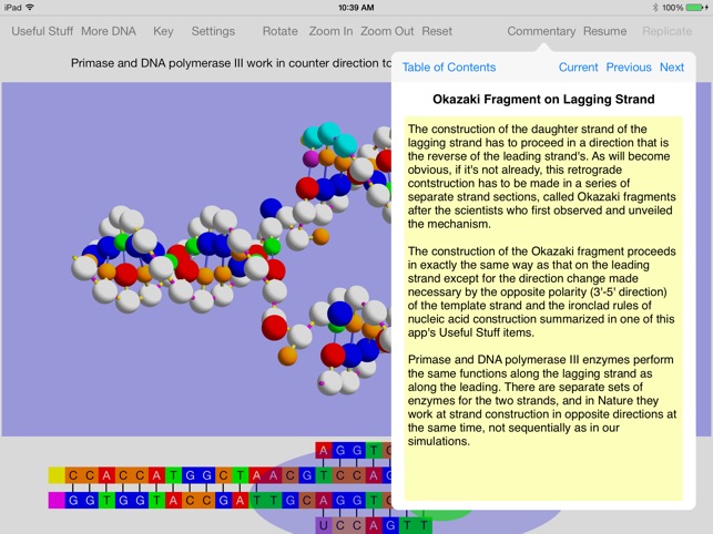 OnScreen DNA Replication(圖3)-速報App