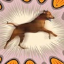 Get 3D Dog Stunts Simulator for iOS, iPhone, iPad Aso Report