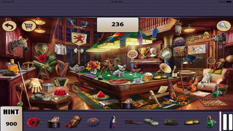 Hidden Objects : Grandma Coins screenshot-3