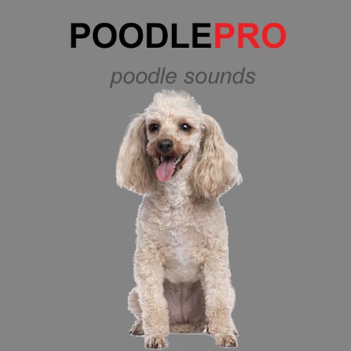 Poodle Dog Sounds icon