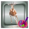 Coloring Book Deer - Animals  For Kids Adults