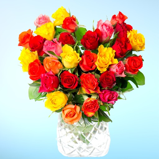 Send Flower Bouquets Sticker Pack icon