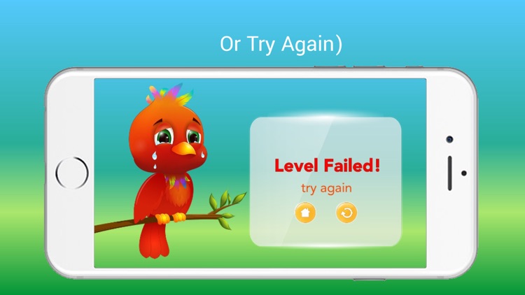 Bird Math Game screenshot-4