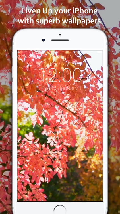 Live Wallpapers Pro: Lock screen themes for iPhone screenshot-4