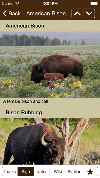 iTrack Wildlife