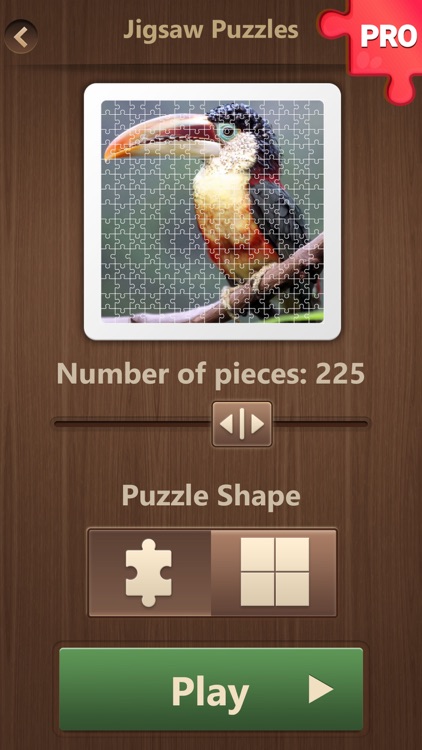 Jigsaw Puzzle Games PRO: Brain Training Jigsaws