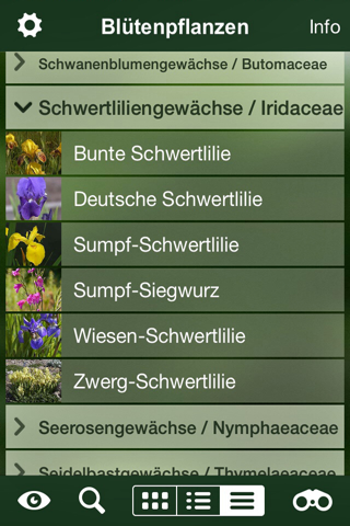 Blütenpflanzen Schweiz Blumen, Sträucher, Bäume screenshot 4