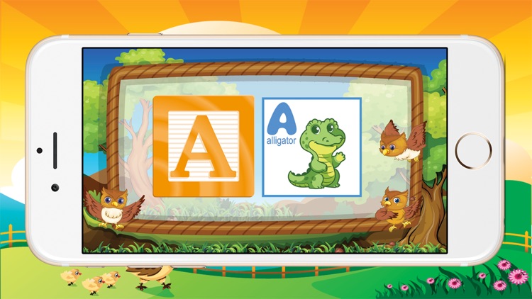 Animal A-Z Alphabet : Tracing Flashcards for Kids