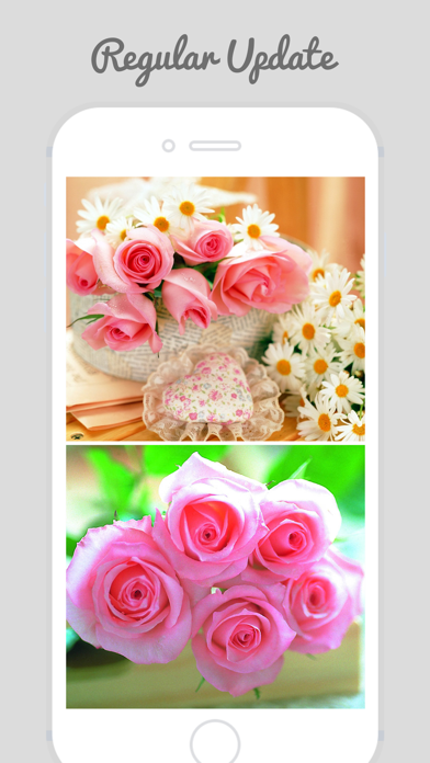 Trendy Roses - Best Collection of Rose Wallpapersのおすすめ画像1
