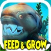 New Feed & Grow Fish Battle Simulator