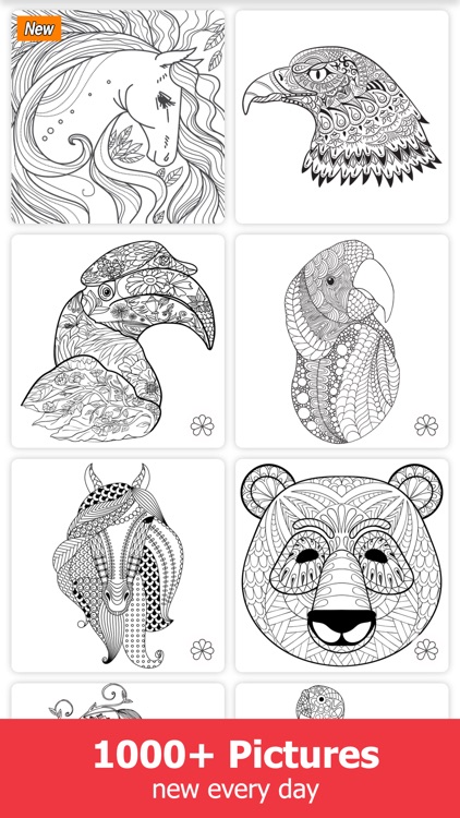 Adult Coloring Book Pages for Adults and Kids