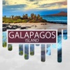 Galapagos Island Travel Guide