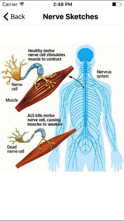 ALS Survey & Information