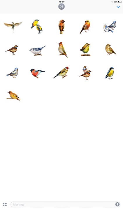 Birds! Watercolor Stickers