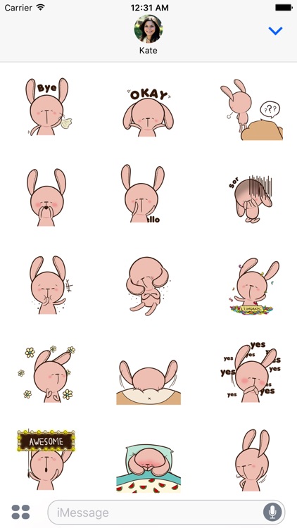 Teddy Rabbit Animated Stickers