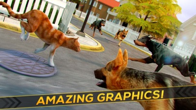 MY KITTEN CAT SIMULATOR . SUPER KITTY ADVENTURE 2.11.2 IOS ĐUA XE MY KITTEN CAT SIMULATOR . SUPER KITTY ADVENTURE 2.11.2 IOS