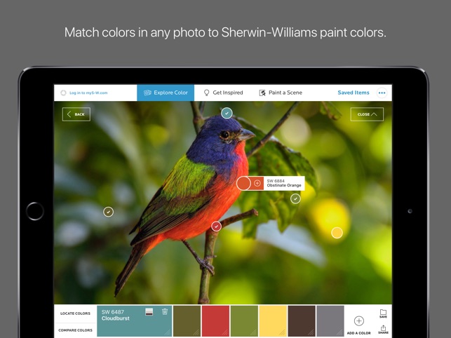 colorsnap-visualizer-for-ipad-on-the-app-store