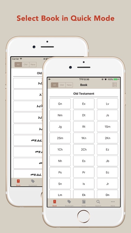 Amharic and English KJV Bible