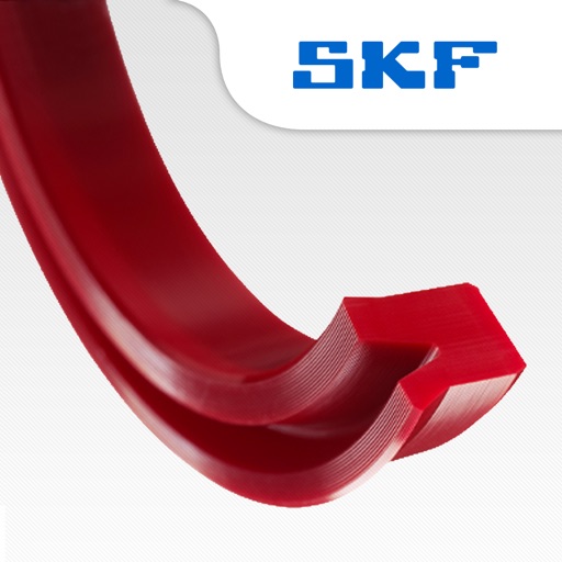 SKF Dichtungen