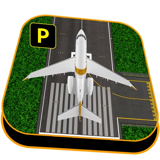 City Airport Sim 3D Icon