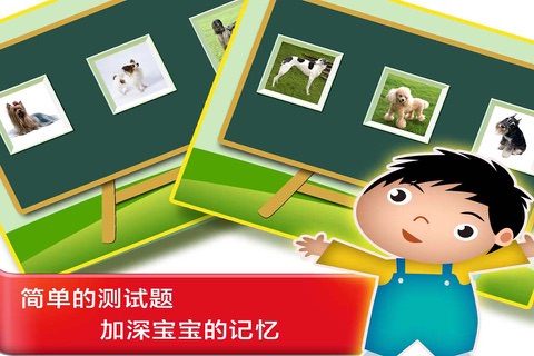 浣熊博士认知课堂 - 认识世界名猫和名犬的中文简体版APP screenshot 4