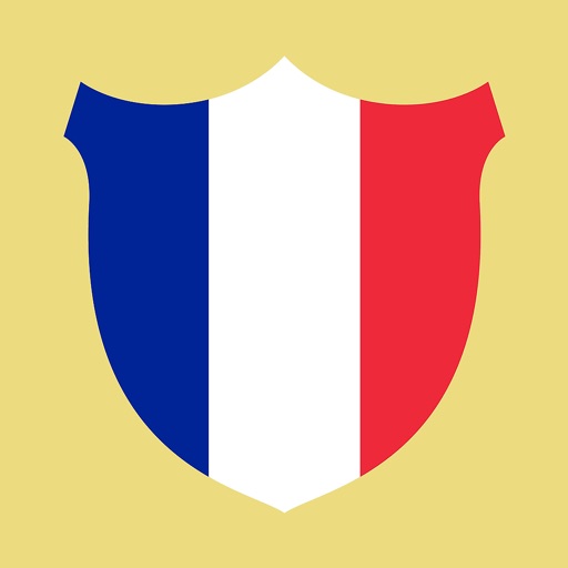 Francês avançado icon