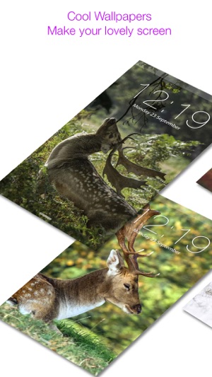 Deer Hunting HD Wallpapers & backgrounds Themes(圖1)-速報App