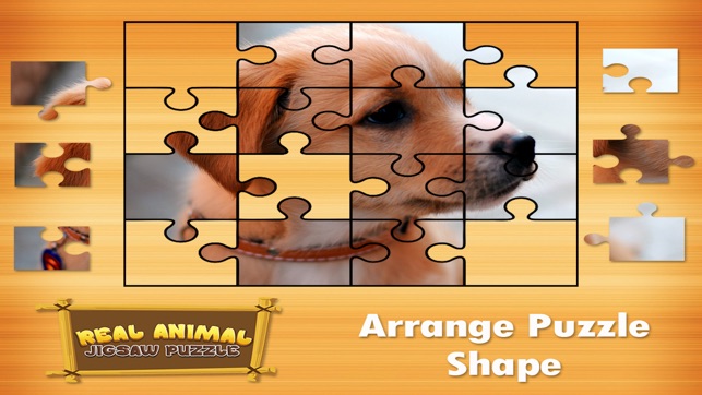 Animal Jigsaw Puzzles : puppy & cat puzz