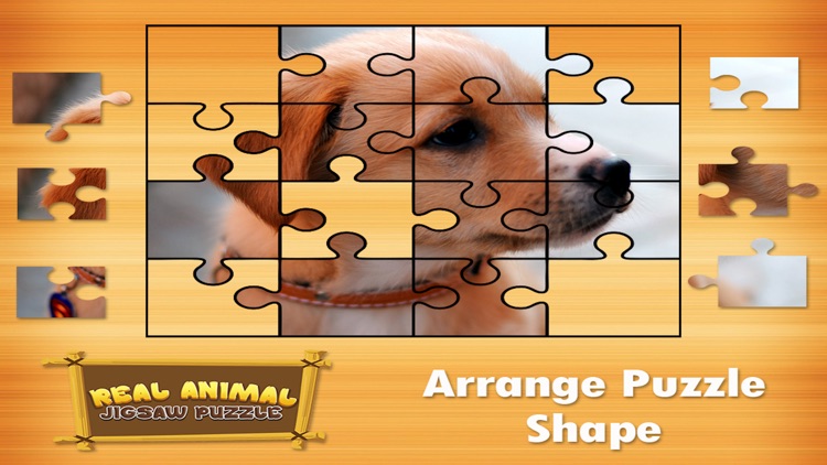 Animal Jigsaw Puzzles : puppy & cat puzzles