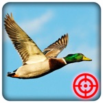Duck Hunting Season Wild Bird Shooting 3D