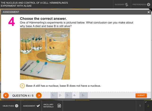 Nucleus and Control of a Cell(圖5)-速報App