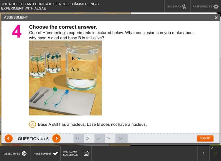 Nucleus and Control of a Cell screenshot-4