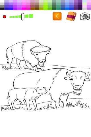 Bison Drawing Book For Toddle screenshot 2