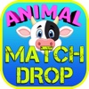 Animals Drop Match 3 Games for Kids