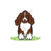 English Springer Spaniel - Dog Sticker Pack