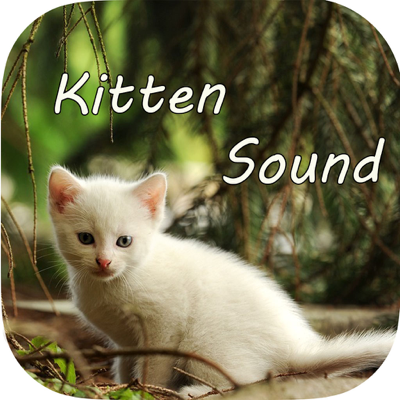 Kitten Sounds – Cat Meow Sound