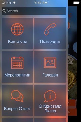 Кристалл-экспо Антиквариат screenshot 2