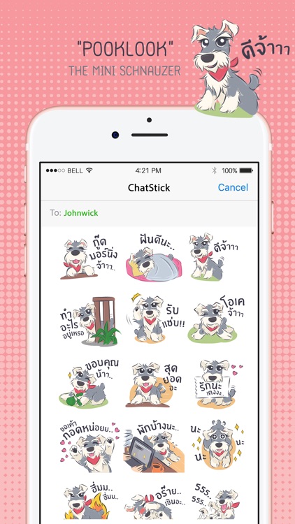 Pooklook Stickers for iMessage By Chatstick