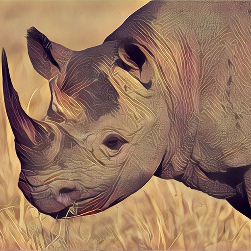Deadly Desert Rhino - Wild Animal Simulator iOS App