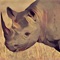 Deadly Desert Rhino - Wild Animal Simulator