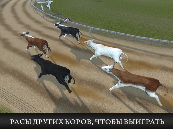 Корова Гонки Бесплатная игра для iPad