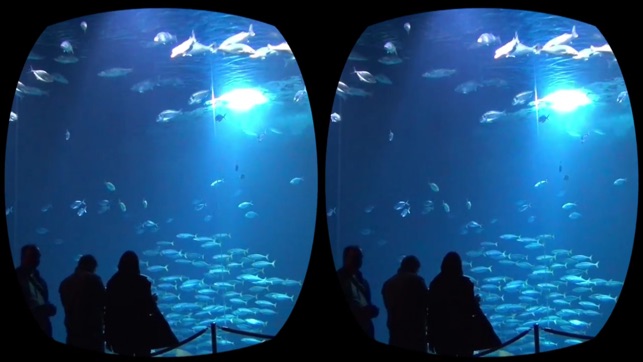 Aquarium Videos VR(圖3)-速報App