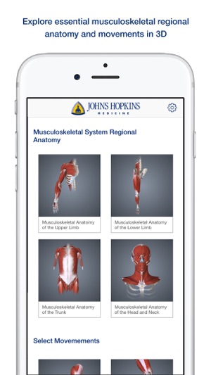 3D Muscle Anatomy