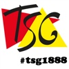 TSG Sulzbach