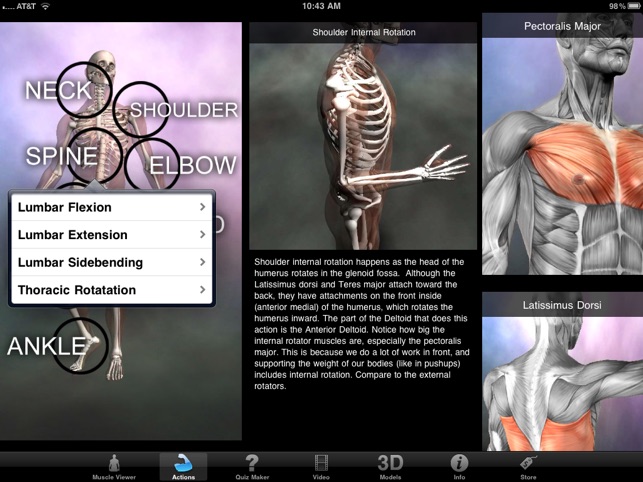 Muscle & Bone Anatomy 3D(圖3)-速報App