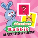 Bunny Looney Matching Match Jogos Para Crian&ccedil;as icon